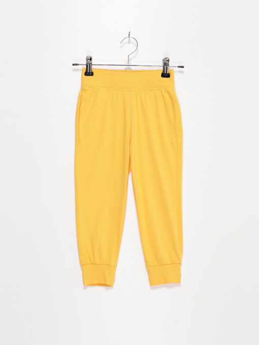 Штаны спортивные H&M модель 0738873_жовтий Фото