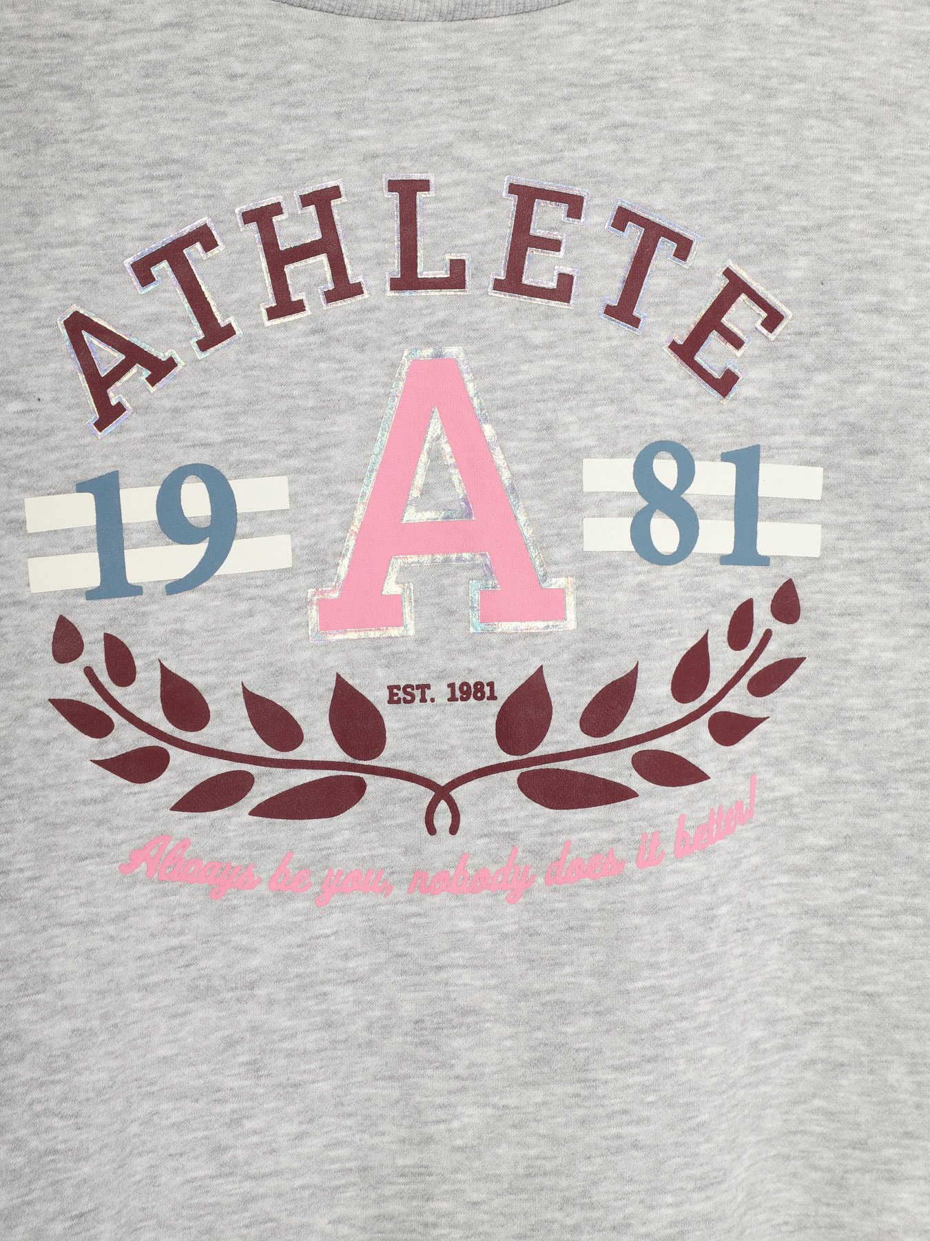 Свитшот H&M модель 0743909_сірий комб. Фото