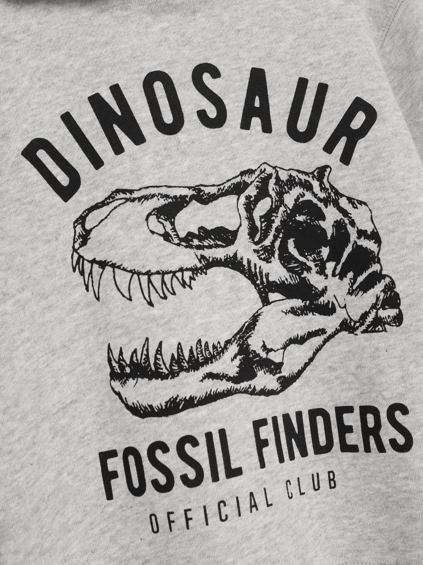 Свитшот H&M модель 0791487_сірий комб. Свитшот H&M модель 0791487_сірий комб. Фото