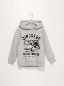 Свитшот H&M модель 0791487_сірий комб. Свитшот H&M модель 0791487_сірий комб. Фото