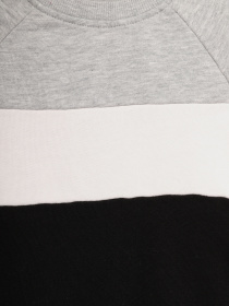 Свитшот H&M модель 08137751_комб. Фото