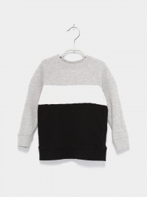 Свитшот H&M модель 08137751_комб. Фото