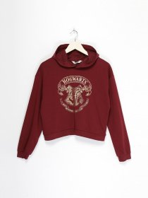 Свитшот H&M модель 08167131_бордовий Фото