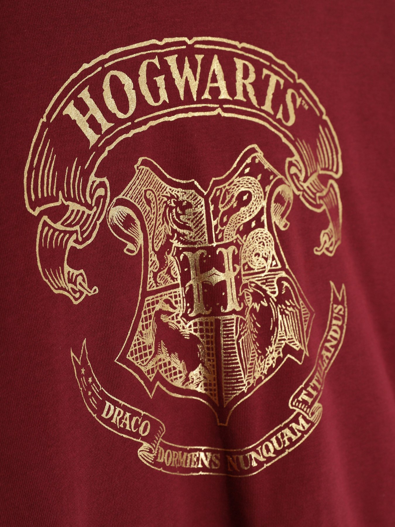 Світшот H&M модель 08167131_бордовий Фото