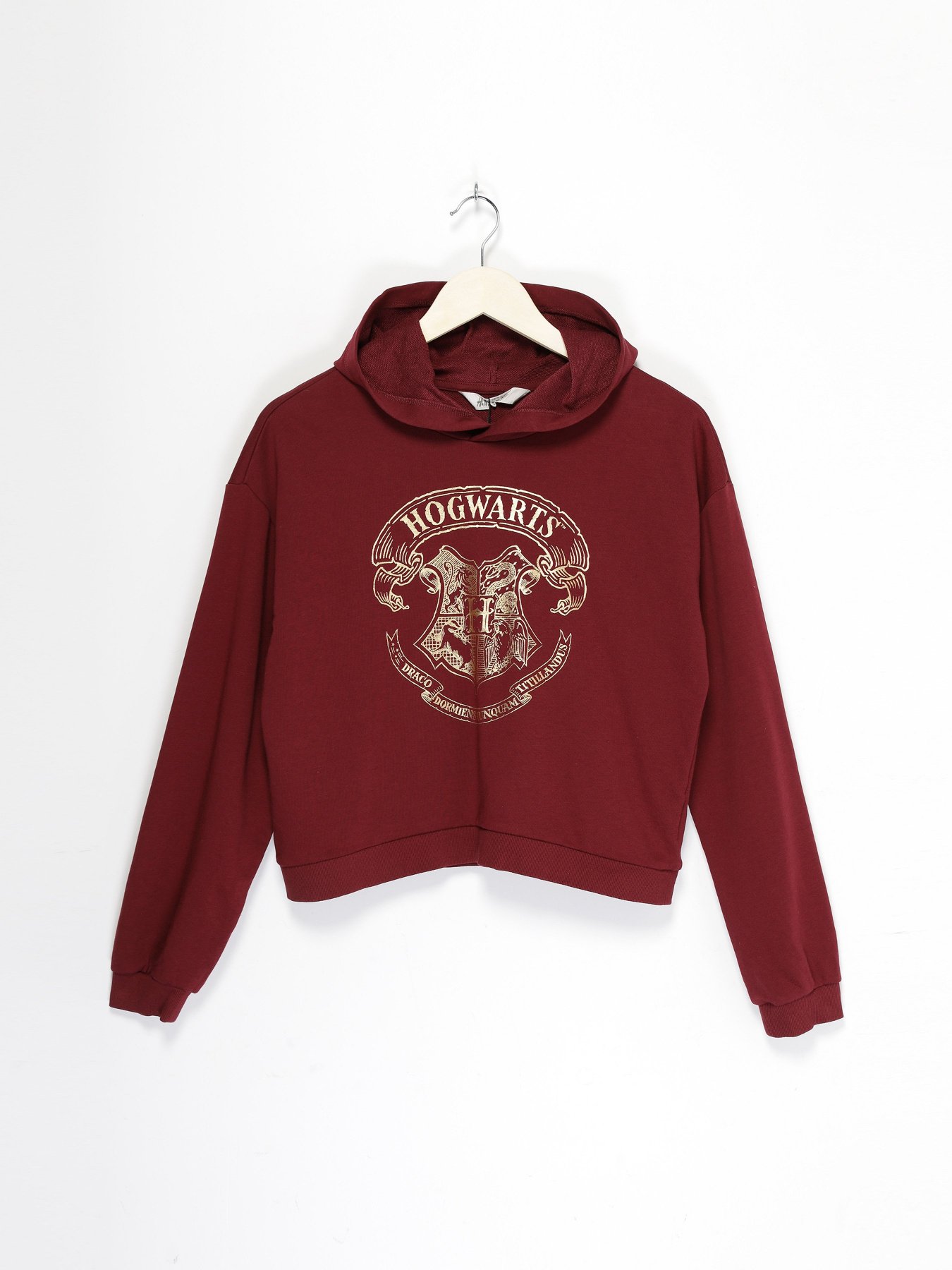 Світшот H&M модель 08167131_бордовий Фото