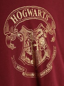 Світшот H&M модель 08167131_бордовий Фото