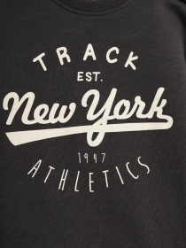 Свитшот H&M модель 0841558_т.сірий комб. Фото