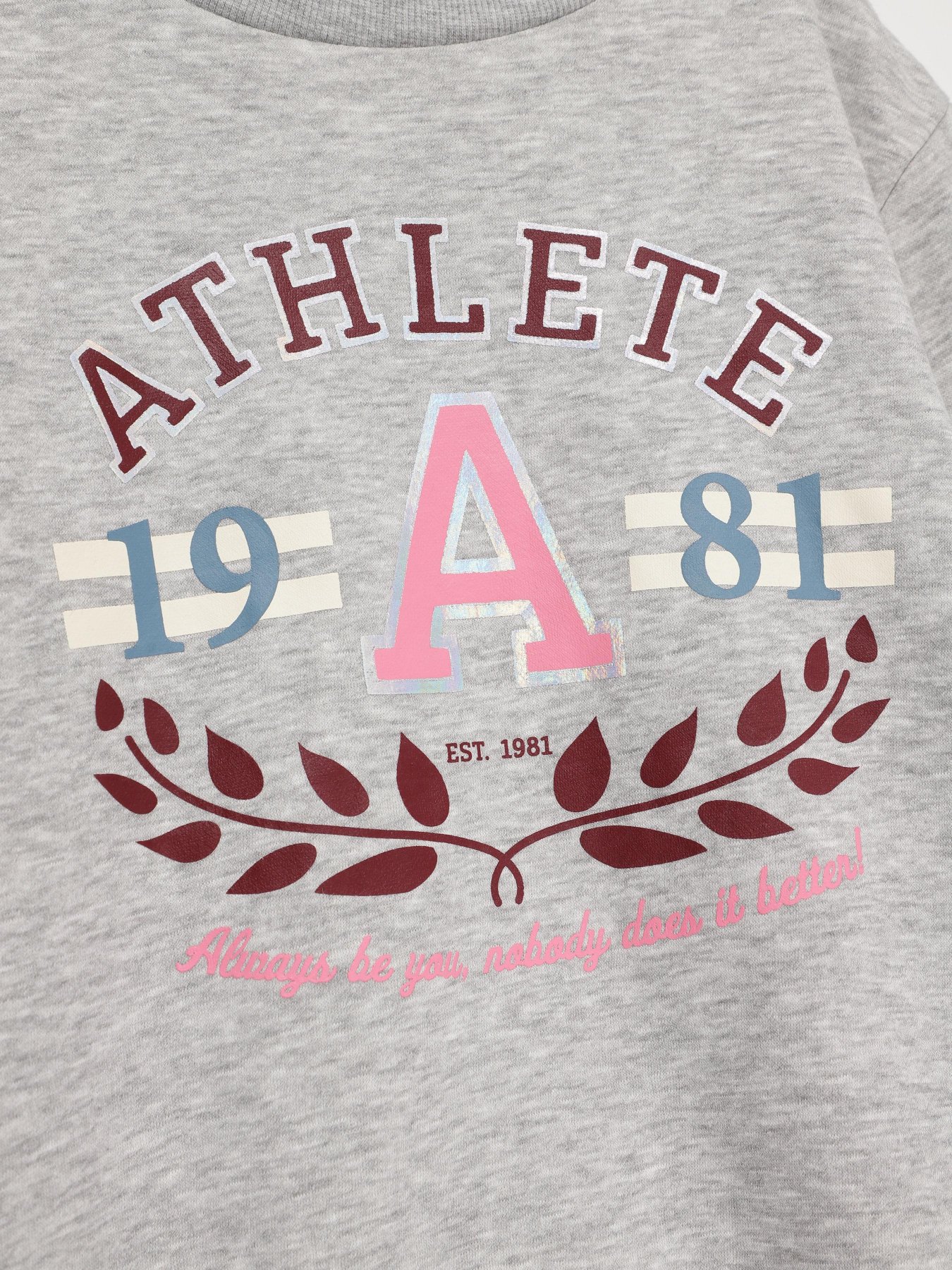 Свитшот H&M модель 0870518_сірий комб. Свитшот H&M модель 0870518_сірий комб. Фото