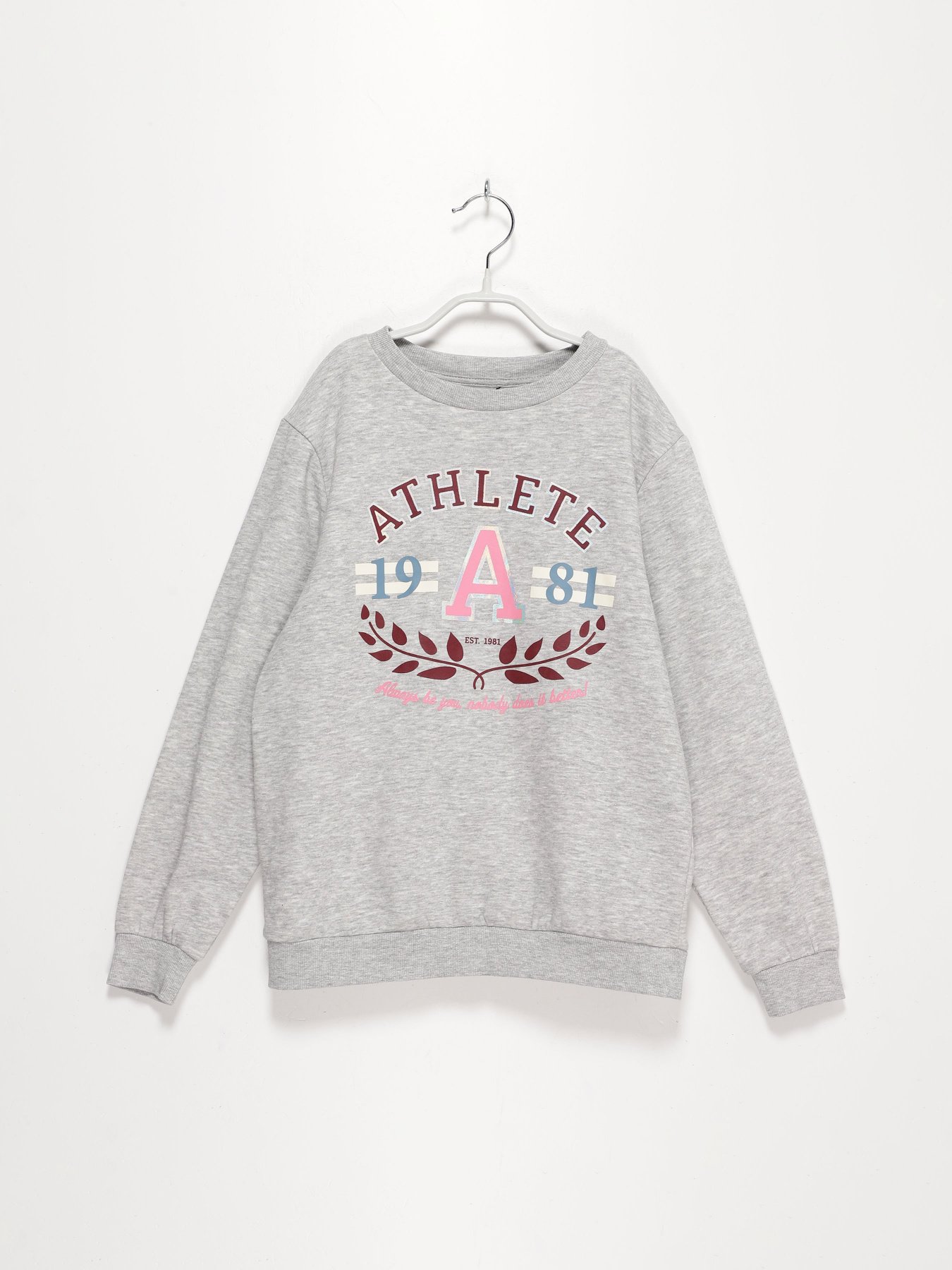 Свитшот H&M модель 0870518_сірий комб. Свитшот H&M модель 0870518_сірий комб. Фото