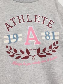 Свитшот H&M модель 0870518_сірий комб. Свитшот H&M модель 0870518_сірий комб. Фото