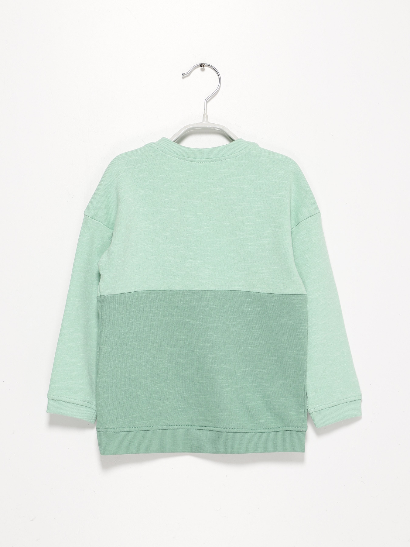 Свитшот H&M модель 0841558_с.зелений комб. Свитшот H&M модель 0841558_с.зелений комб. Фото