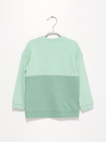 Свитшот H&M модель 0841558_с.зелений комб. Свитшот H&M модель 0841558_с.зелений комб. Фото