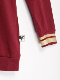 Лонгслив H&M модель 0910423_бордовий комб. Фото