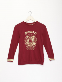 Лонгслив H&M модель 0910423_бордовий комб. Фото