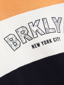 Свитшот H&M модель 0934161_комб. Фото