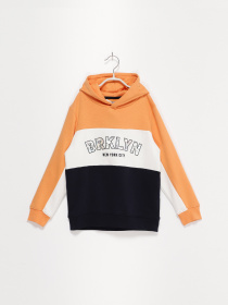 Свитшот H&M модель 0934161_комб. Фото