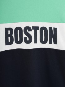 Свитшот H&M модель 09365493_комб. Фото