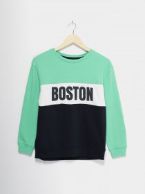 Свитшот H&M модель 09365493_комб. Фото