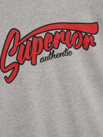 Свитшот H&M модель 0570474_сірий комб. Фото