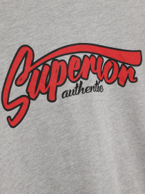 Свитшот H&M модель 05704741_сірий комб. Фото