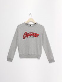 Свитшот H&M модель 05704741_сірий комб. Фото