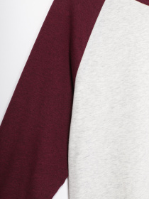 Лонгслив H&M модель 0617726_с.сірий з бордовим Фото