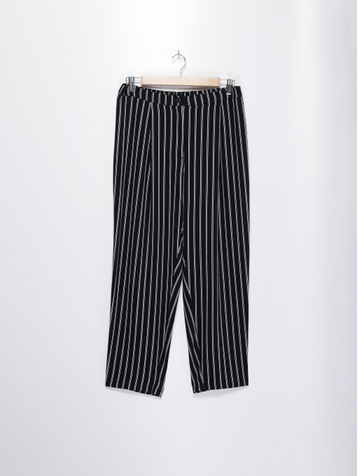 Повседневные штаны H&M модель 0660308_т.синій з білим Фото