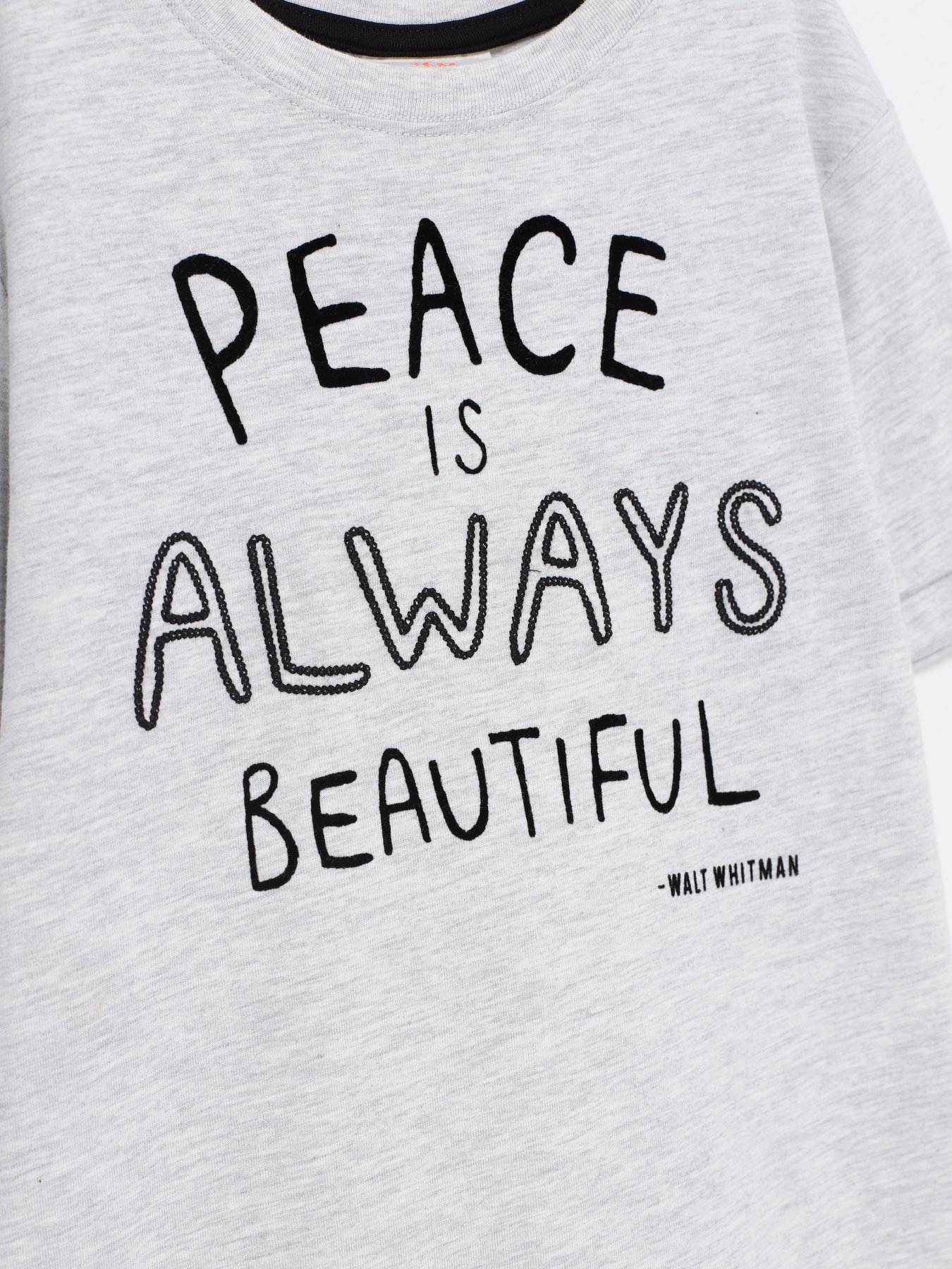 Футболка H&M модель 0632495_сірий комб. Фото