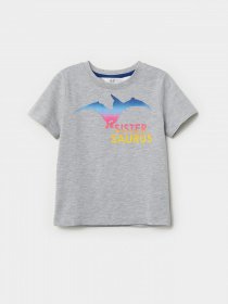 Футболка H&M модель 0695733_сірий комб. Фото