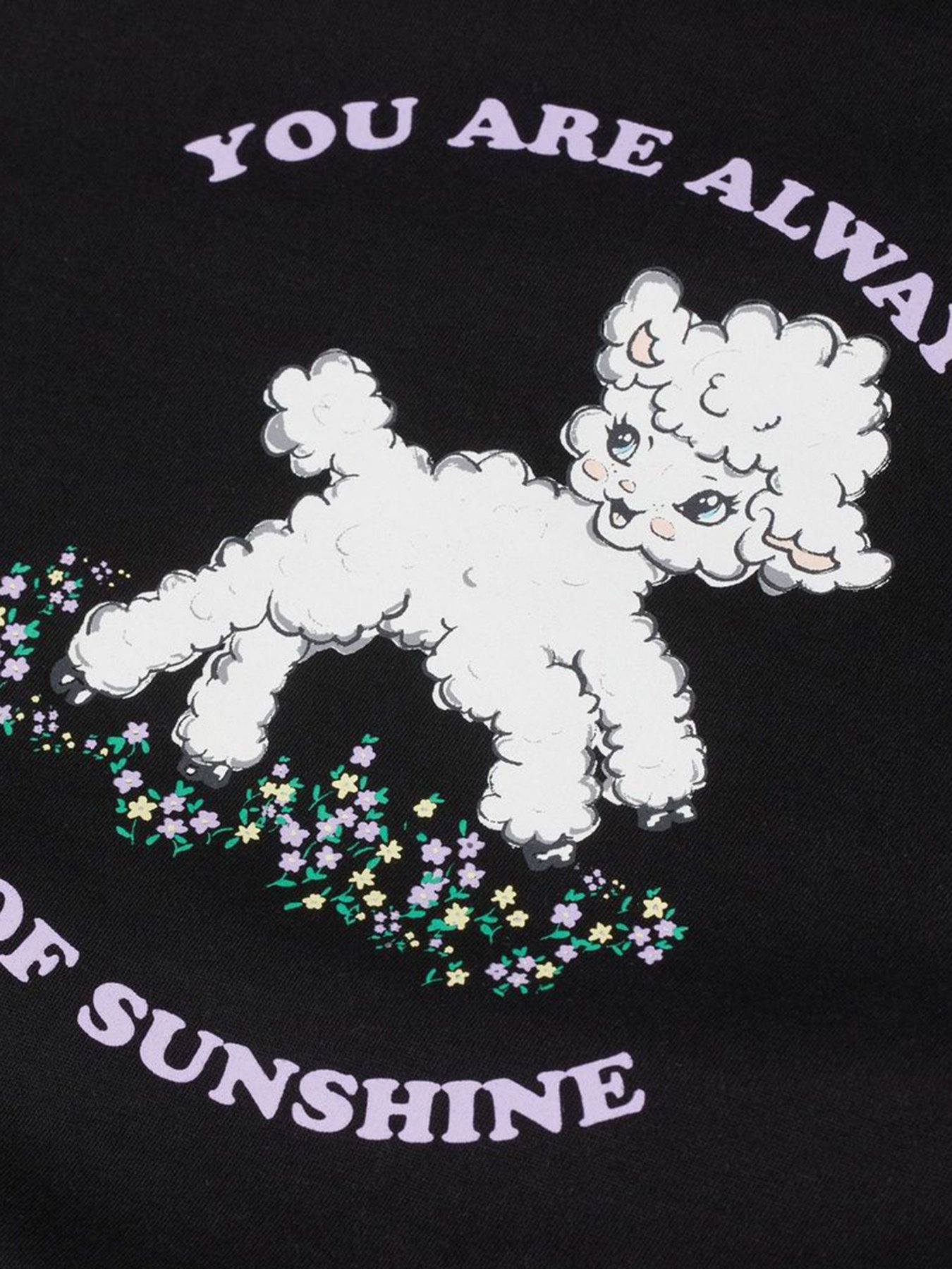 Футболка H&M модель 0950725_чорний комб. Фото