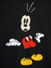 Джемпер H&M модель 0667866_чорний комб. Фото