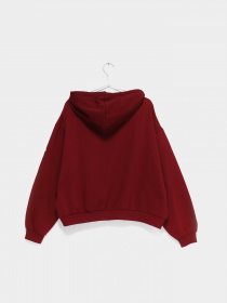 Худи H&M модель 07546971_бордовий Фото