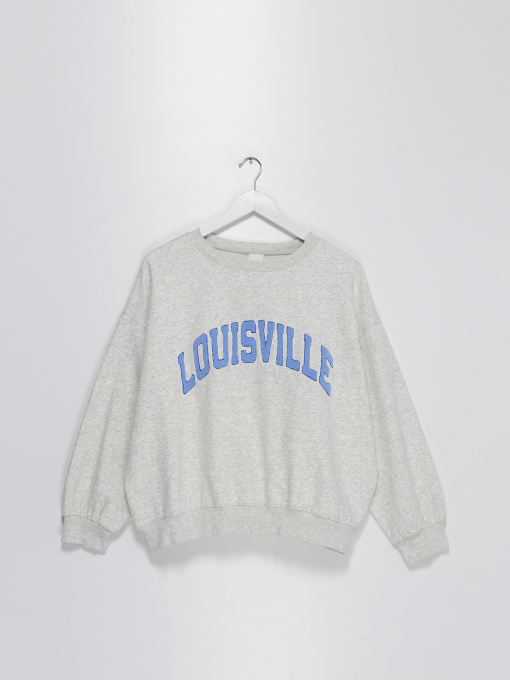 Світшот H&M модель 0923135_с.сірий з блакитним Фото