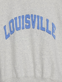 Свитшот H&M модель 0923135_с.сірий з блакитним Свитшот H&M модель 0923135_с.сірий з блакитним Фото