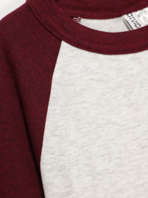 Лонгслив H&M модель 0375849_с.сірий з бордовим Фото