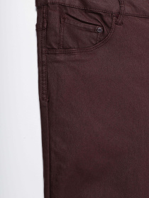 Повсякденні штани H&M модель 0399223_т.бордовий Фото