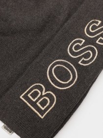 Шапка Boss модель J11087/655 Фото