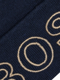 Шапка Boss модель J11087/857 Фото