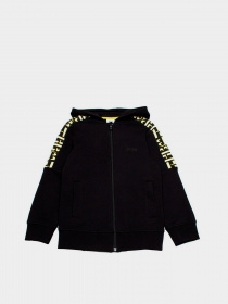 Спортивная кофта Boss модель J25L44/09B Фото