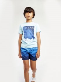 Шорты для плавания Boss модель J24683/Z40 Фото