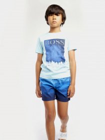 Шорты для плавания Boss модель J24683/Z40 Фото