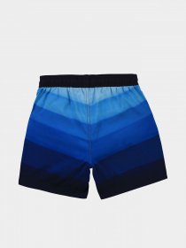 Шорти для плавання Boss модель J24683/Z40 Фото