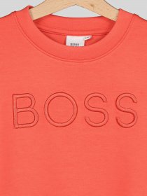 Свитшот Boss модель J15423/402 Фото