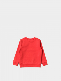 Свитшот Boss модель J25L96/97E Фото