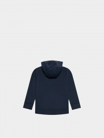 Худи Boss модель J25L97/849 Фото