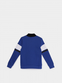 Свитшот Boss модель J25N05/829 Фото