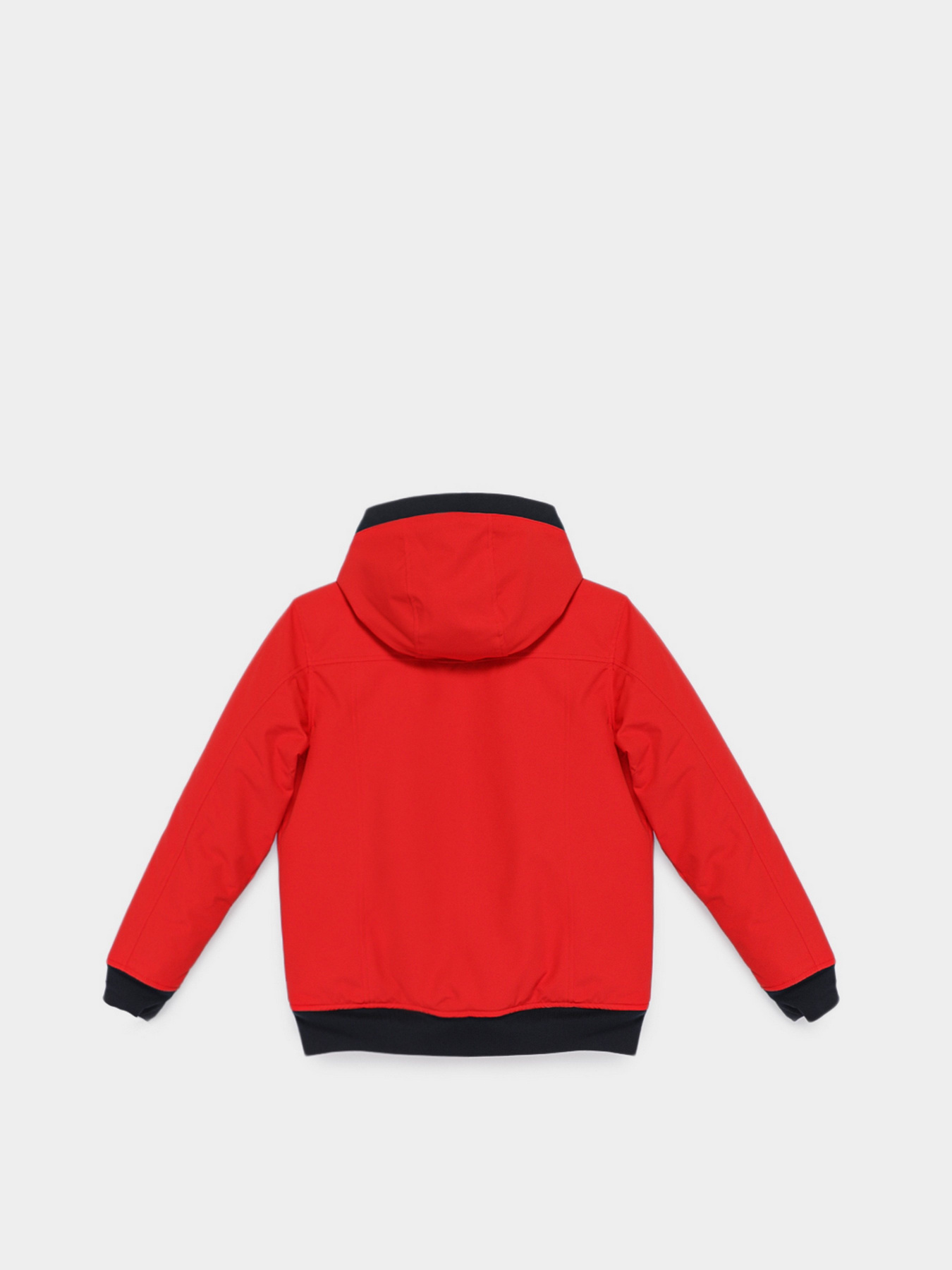 Парка Boss модель J26452/97E Фото