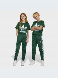 Зелений - Джогери adidas Adicolor