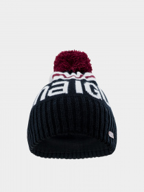 Шапка Iguana Aver модель AVER-ANTHRACITE/POMEGRANATE Фото