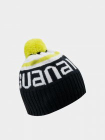 Шапка Iguana Aver модель AVER-ANTHRACITE/SULPHUR SPRING Фото
